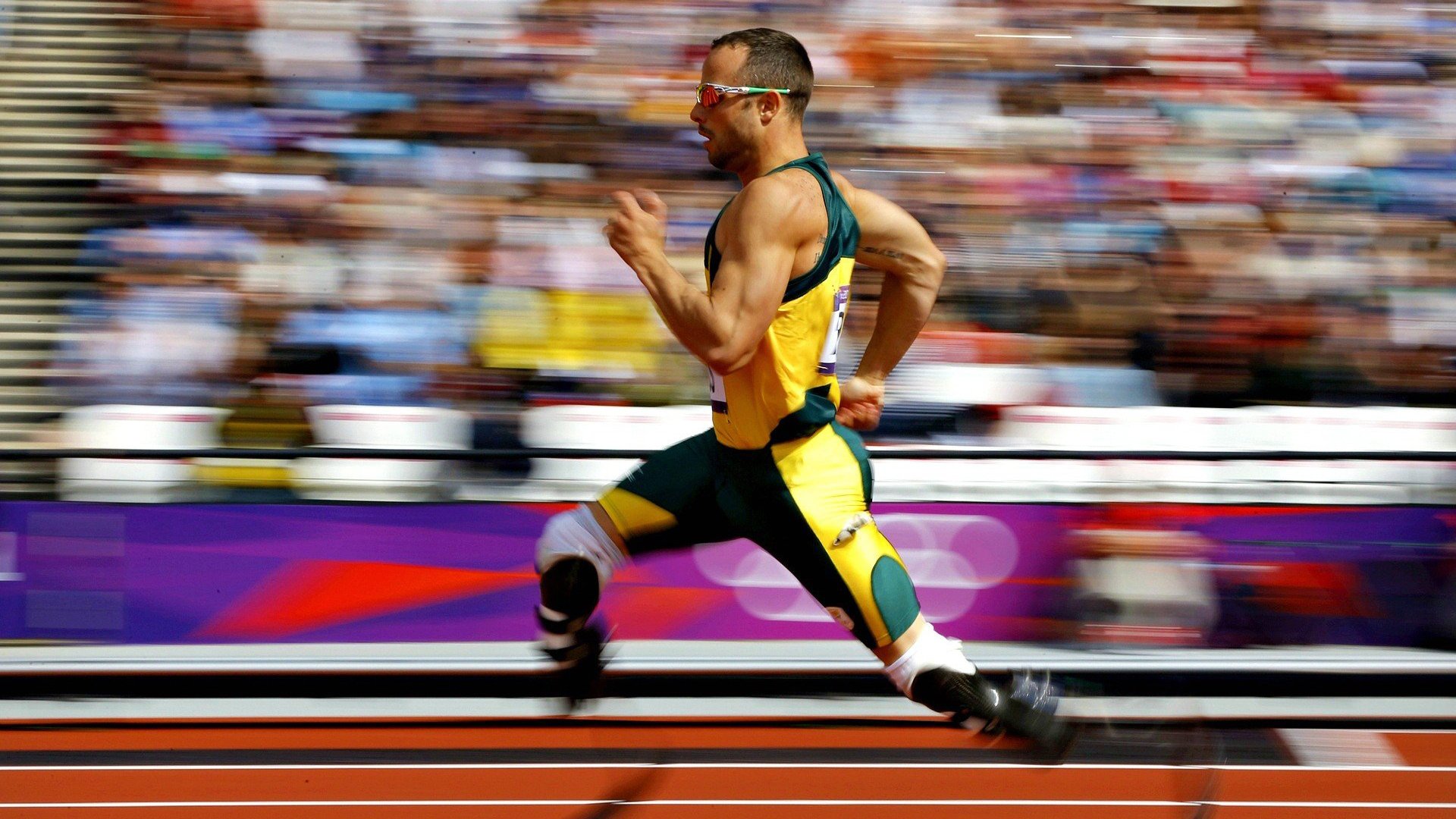 史上最大“黑马崛起”:逆境中夺冠的奇迹,黑马逆袭的例子